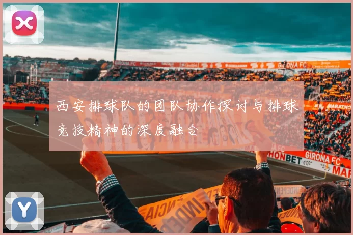 西安排球队的团队协作探讨与排球竞技精神的深度融合