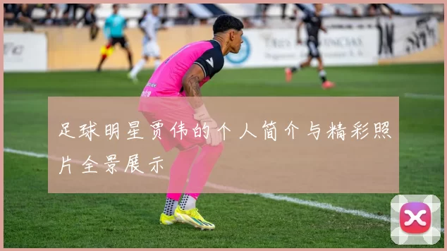 足球明星贾伟的个人简介与精彩照片全景展示