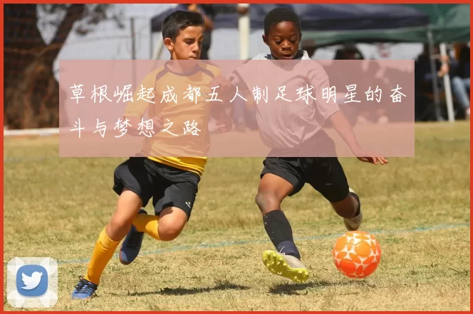 草根崛起成都五人制足球明星的奋斗与梦想之路