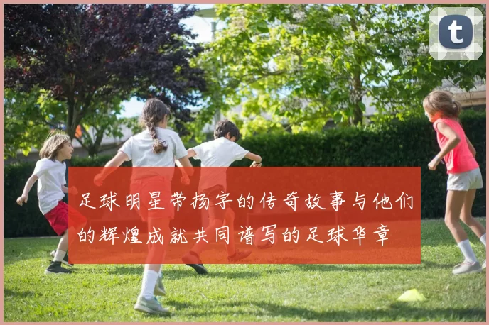 足球明星带扬字的传奇故事与他们的辉煌成就共同谱写的足球华章