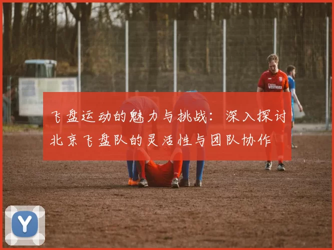 飞盘运动的魅力与挑战：深入探讨北京飞盘队的灵活性与团队协作