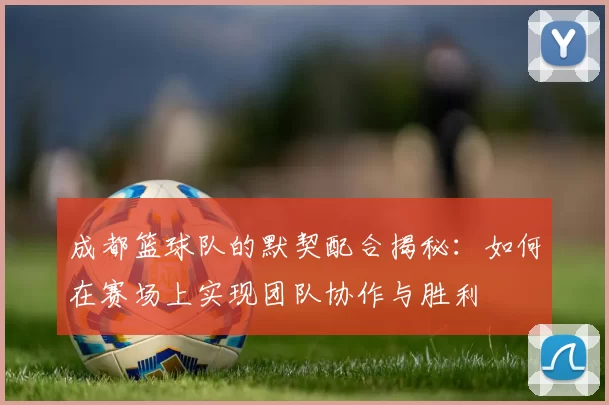 成都篮球队的默契配合揭秘：如何在赛场上实现团队协作与胜利