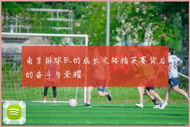南京排球队的成长之路精英赛背后的奋斗与荣耀