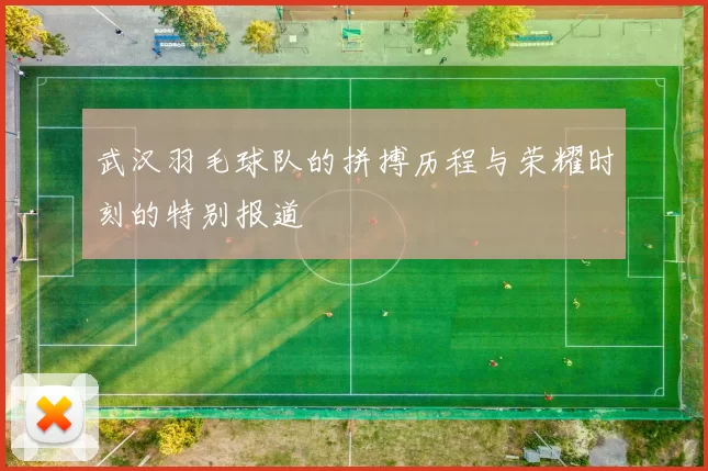 武汉羽毛球队的拼搏历程与荣耀时刻的特别报道