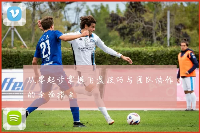 从零起步掌握飞盘技巧与团队协作的全面指南