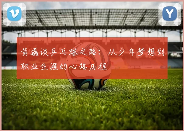 黄磊谈乒乓球之路：从少年梦想到职业生涯的心路历程