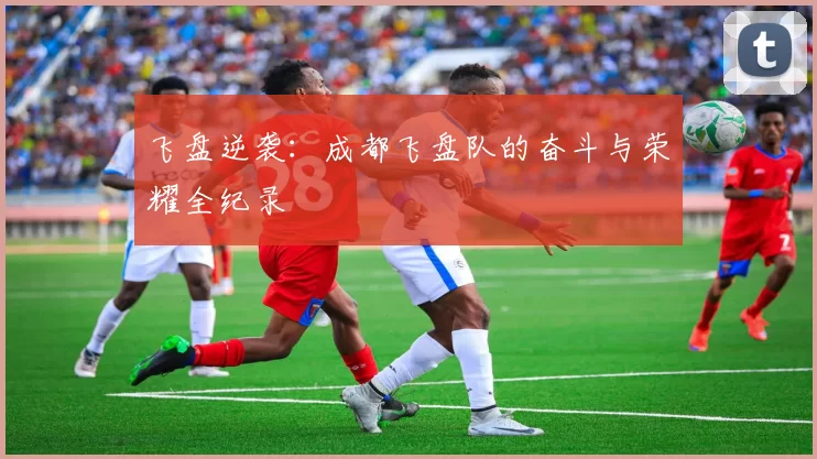 飞盘逆袭：成都飞盘队的奋斗与荣耀全纪录