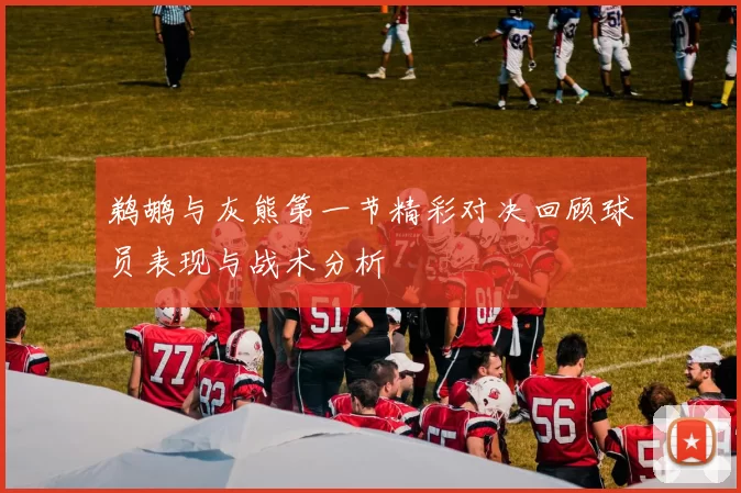 鹈鹕与灰熊第一节精彩对决回顾球员表现与战术分析