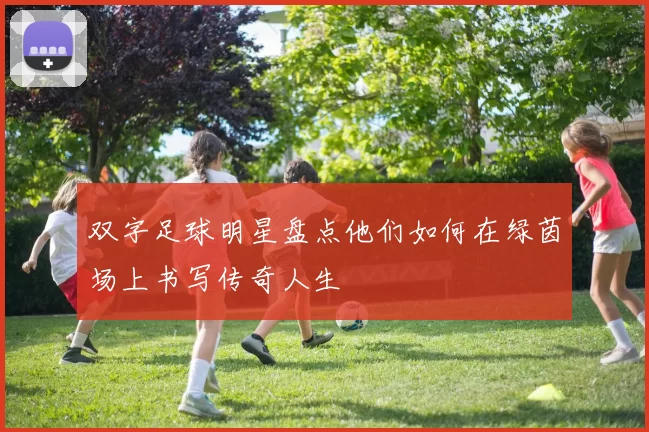 双字足球明星盘点他们如何在绿茵场上书写传奇人生