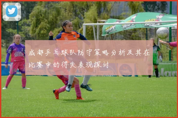 成都乒乓球队防守策略分析及其在比赛中的得失表现探讨