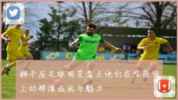 狮子座足球明星盘点他们在绿茵场上的辉煌成就与魅力