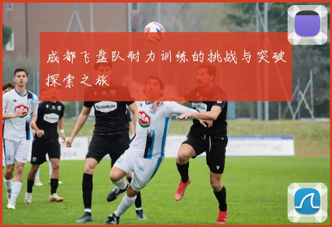 成都飞盘队耐力训练的挑战与突破探索之旅