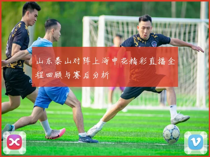 山东泰山对阵上海申花精彩直播全程回顾与赛后分析